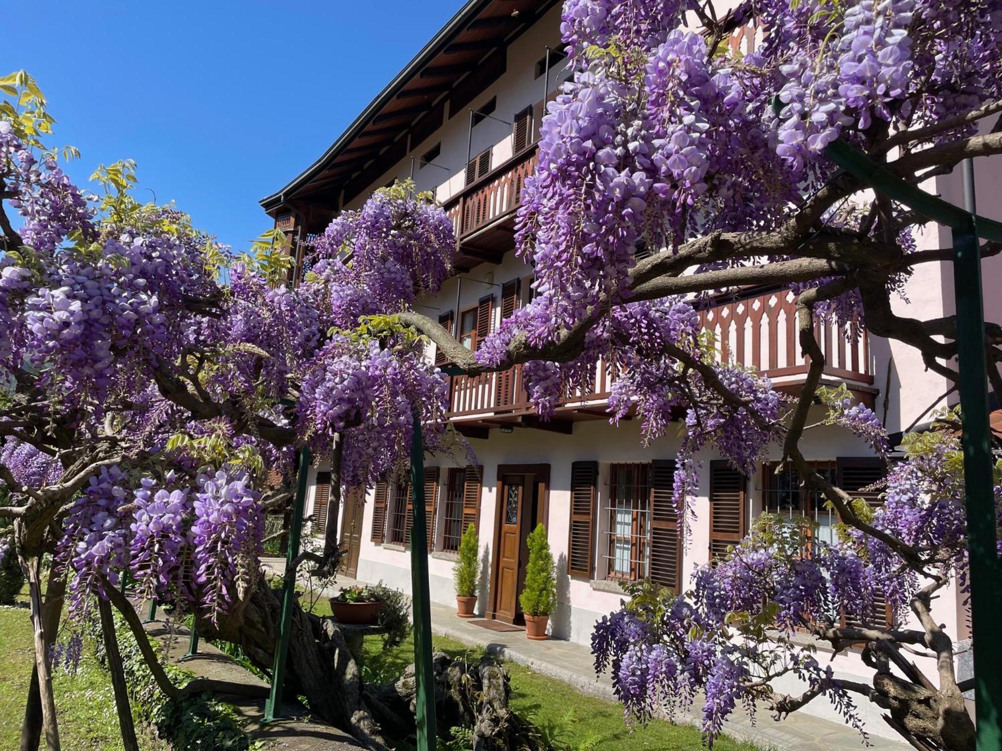Dimora Fiorita Junior My Holiday Home Varallo Exterior photo